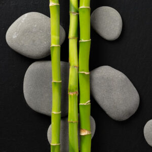 Masaż Bamboo-Cho